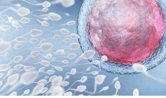 试管长方案有哪些好处？减少并发症风险是优点之一！